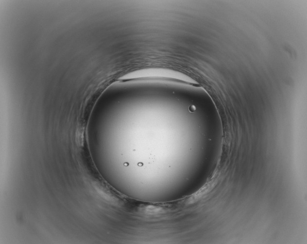 X0000111860180200907301139