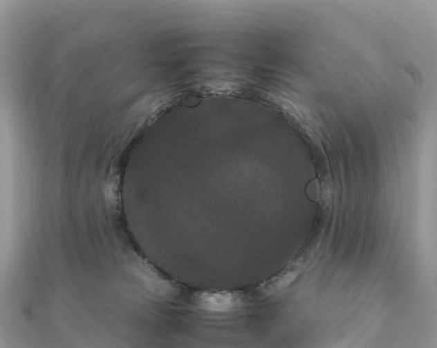 X0000111860181200907301139