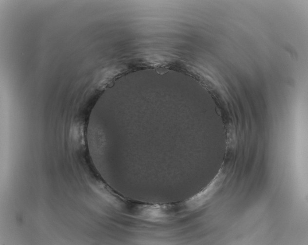 X0000111860182200907301139