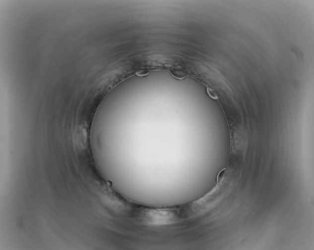 X0000111860183200907301139