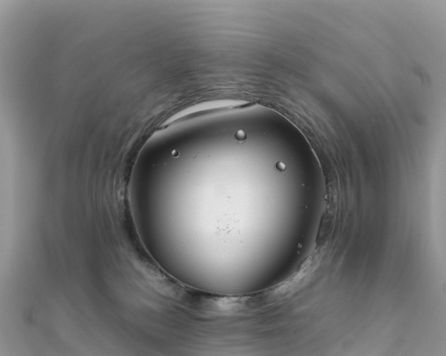 X0000111860184200907301139