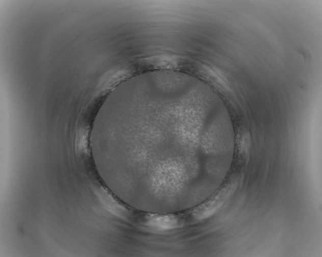 X0000111860185200907301139