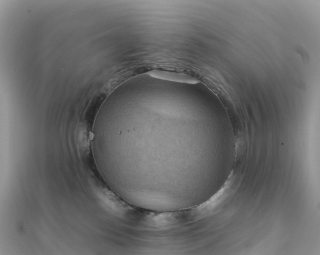 X0000111860186200907301139