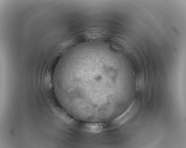 X0000111860187200907301139