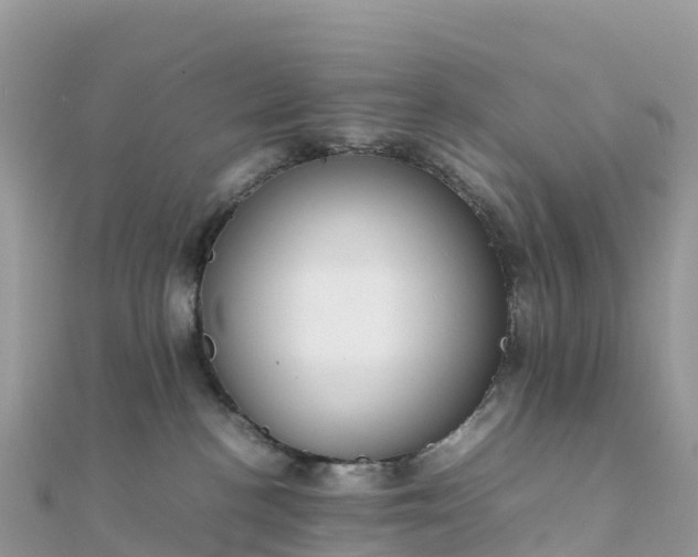 X0000111860188200907301139