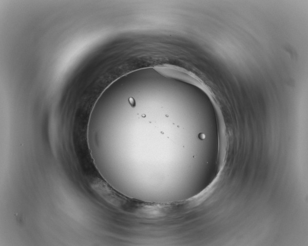 X0000111860190200907301139