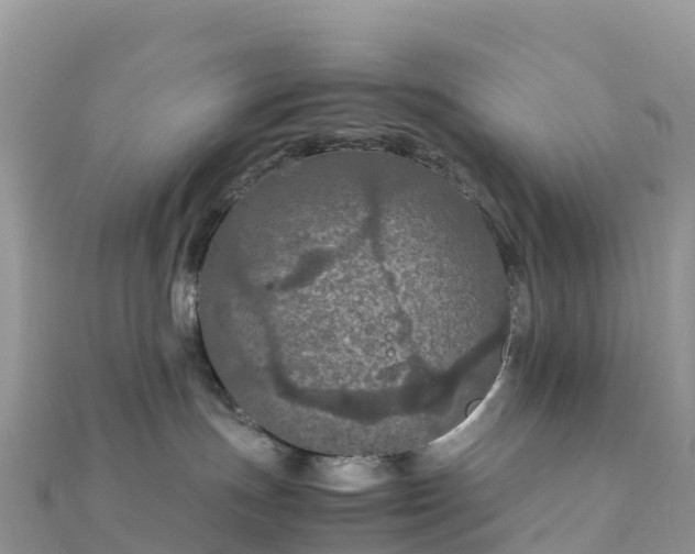 X0000111860191200907301139