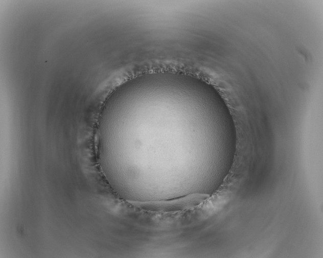 X0000111860192200907301139