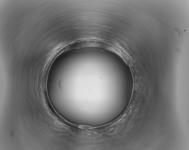 X0000111860193200907301139