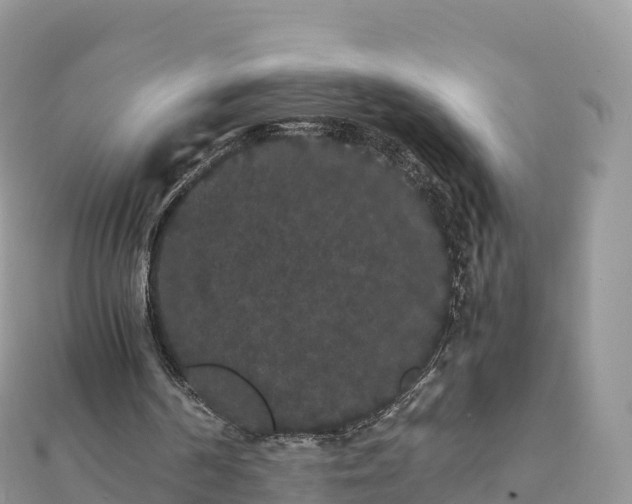 X0000111860194200907301139