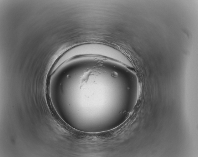 X0000111860195200907301139