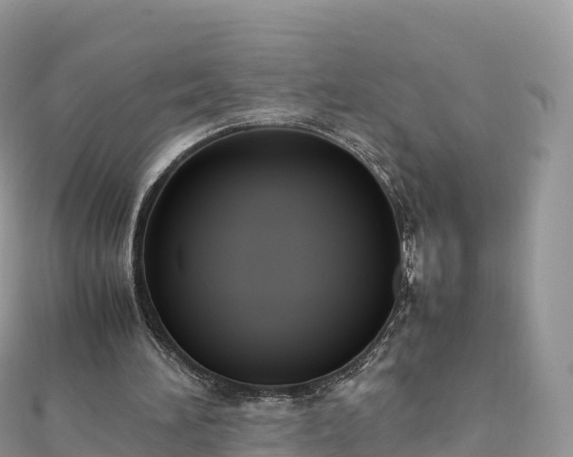 X0000111860196200907301139