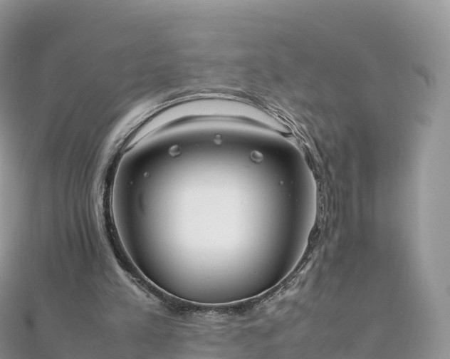 X0000111860197200907301139