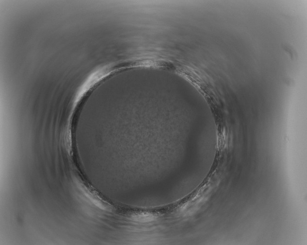 X0000111860198200907301139