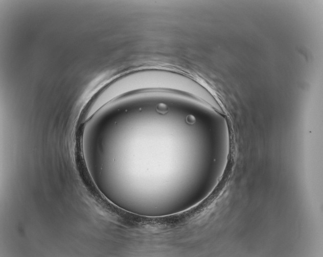 X0000111860199200907301139