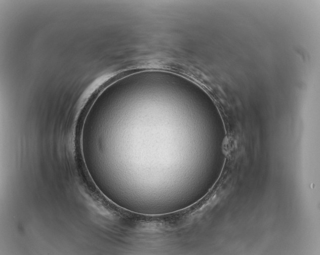 X0000111860200200907301139