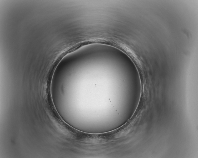 X0000111860201200907301139