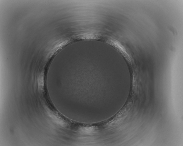 X0000111860202200907301139