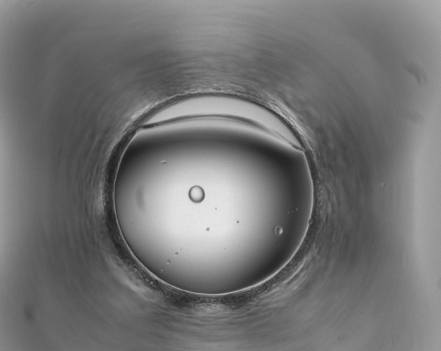 X0000111860203200907301139