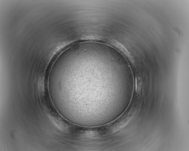 X0000111860204200907301139