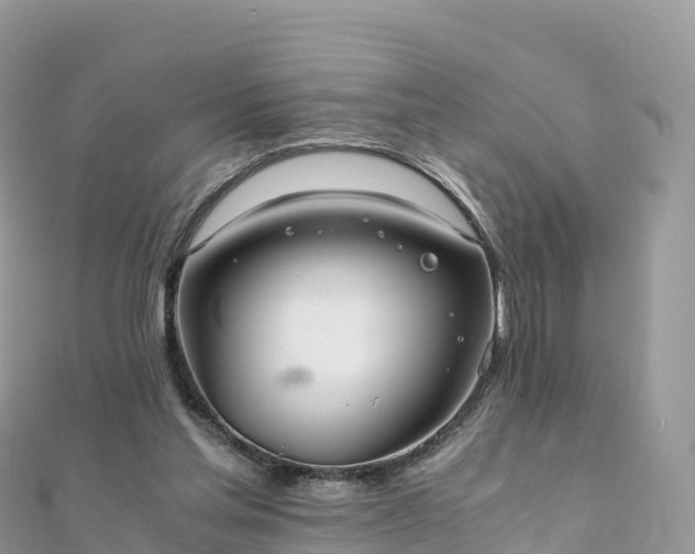 X0000111860205200907301139