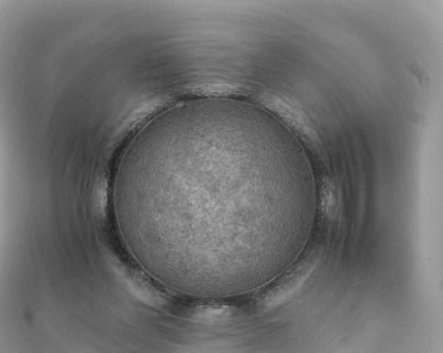 X0000111860206200907301139