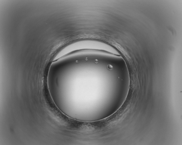 X0000111860207200907301139