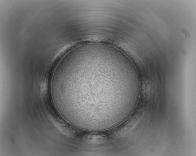 X0000111860208200907301139