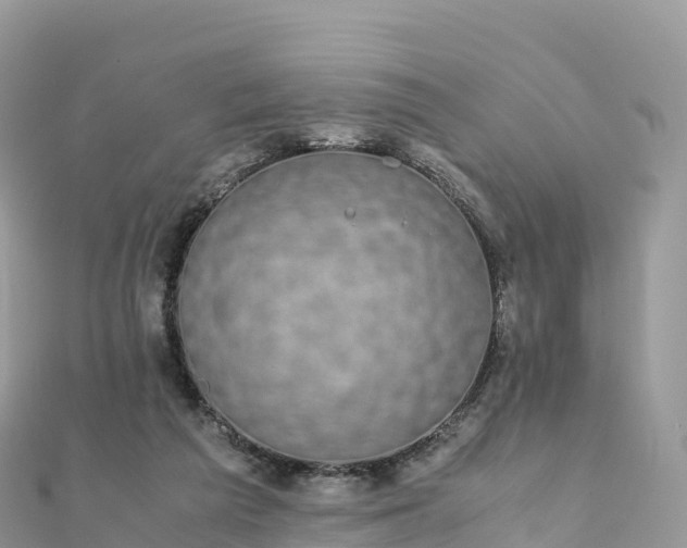 X0000111860209200907301139