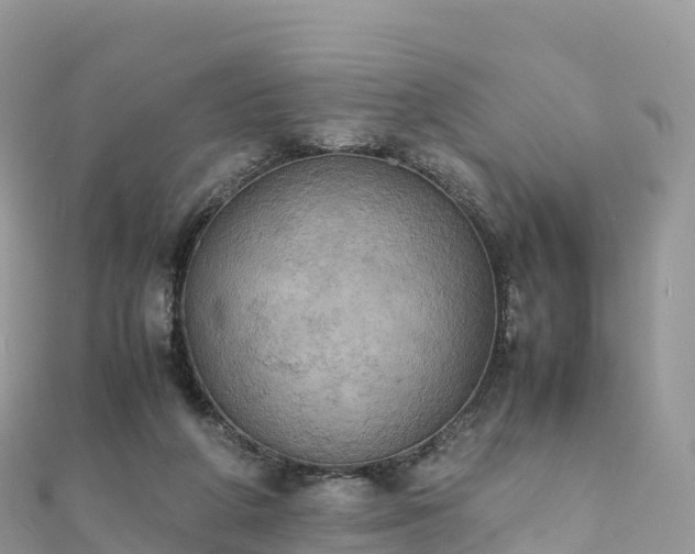 X0000111860210200907301138