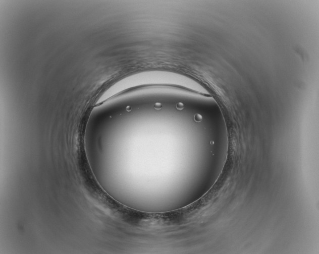 X0000111860211200907301138