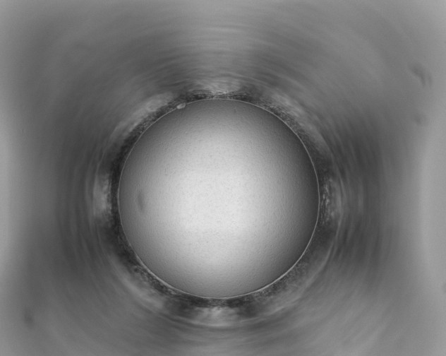 X0000111860212200907301138