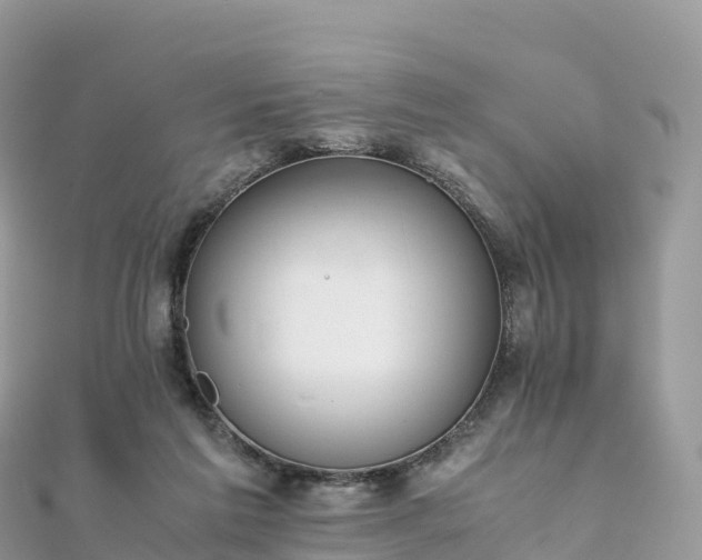 X0000111860213200907301138