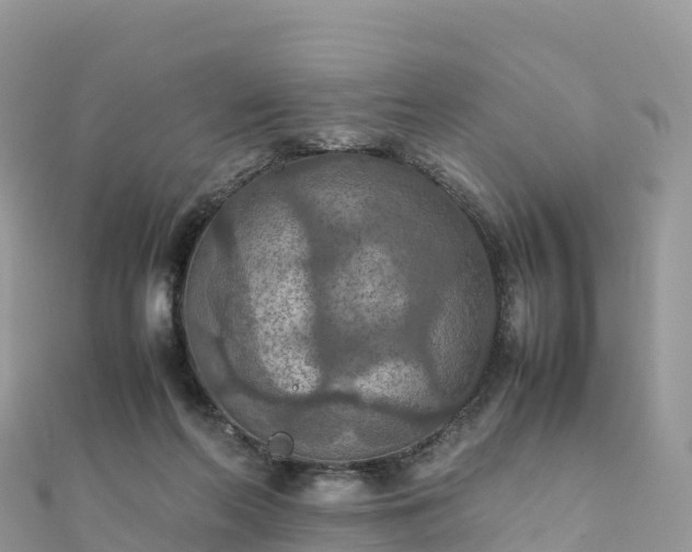 X0000111860214200907301138