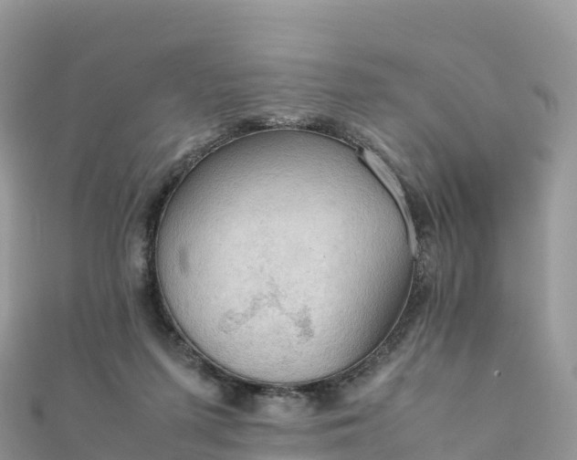 X0000111860215200907301138