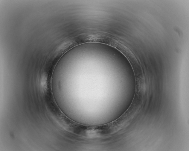 X0000111860216200907301138