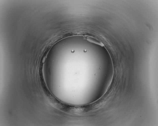 X0000111860217200907301138