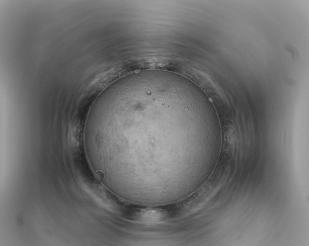 X0000111860218200907301138