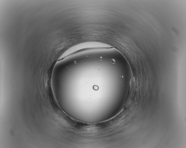 X0000111860219200907301138