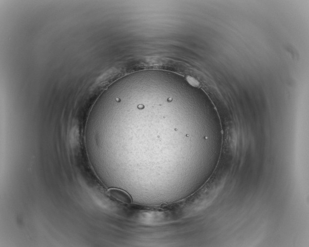 X0000111860220200907301138