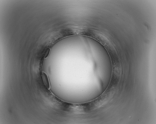 X0000111860221200907301138