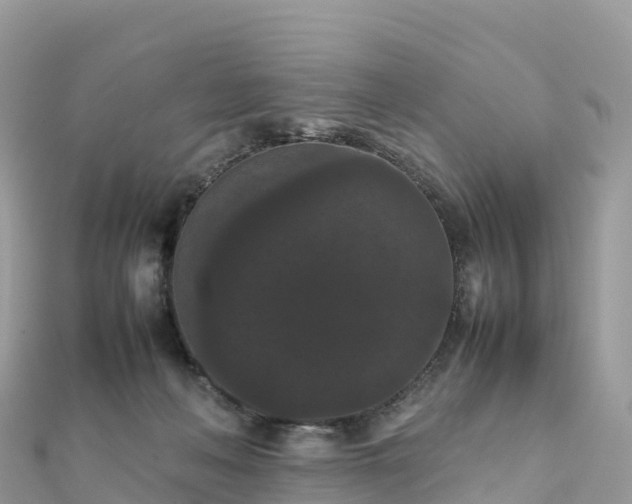 X0000111860222200907301138