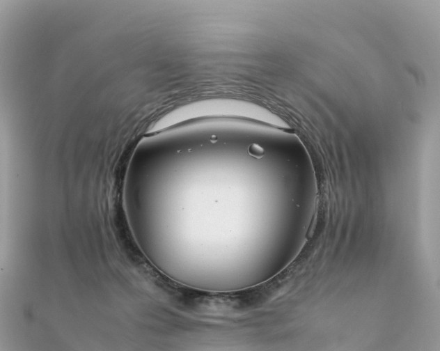 X0000111860223200907301138