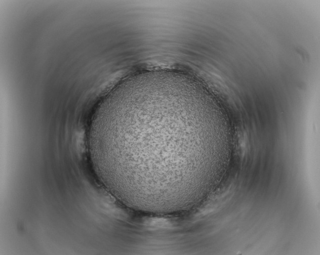 X0000111860224200907301138