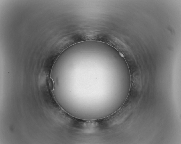 X0000111860225200907301138