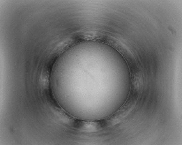 X0000111860226200907301138