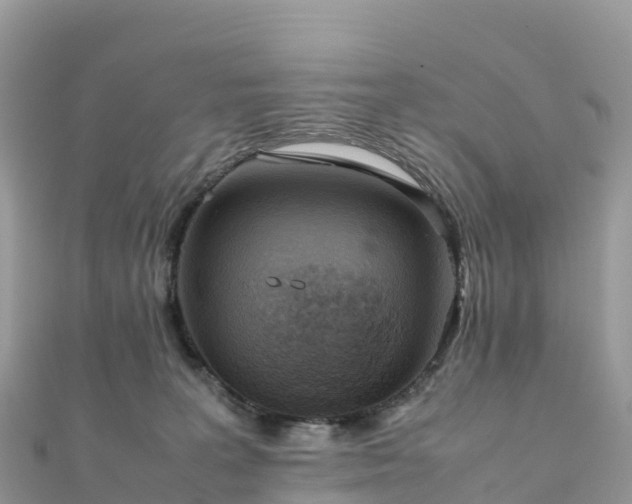 X0000111860227200907301138