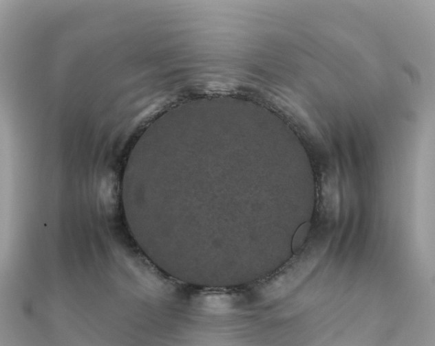 X0000111860228200907301138