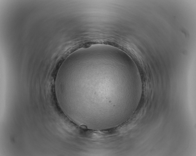 X0000111860229200907301138