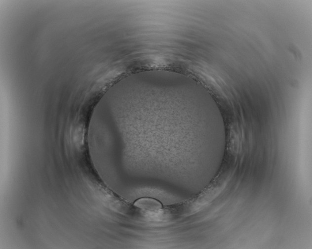 X0000111860230200907301138